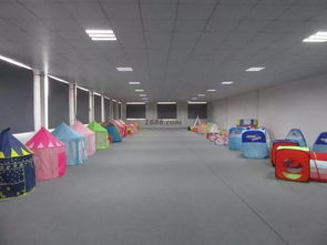 洛克休闲 高效电商与一站式代理服务的完美结合